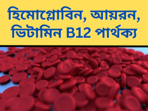 Read more about the article হিমোগ্লোবিন, আয়রন, ভিটামিন B12 পার্থক্য